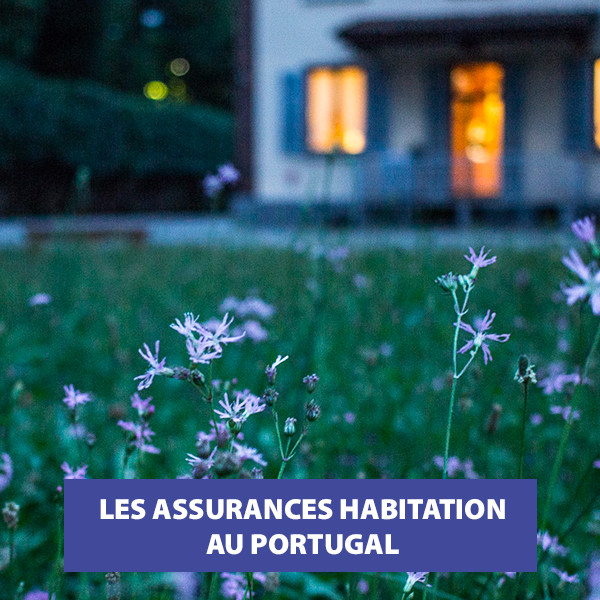 vendredi-LFR - CARRE.png (621 KB)